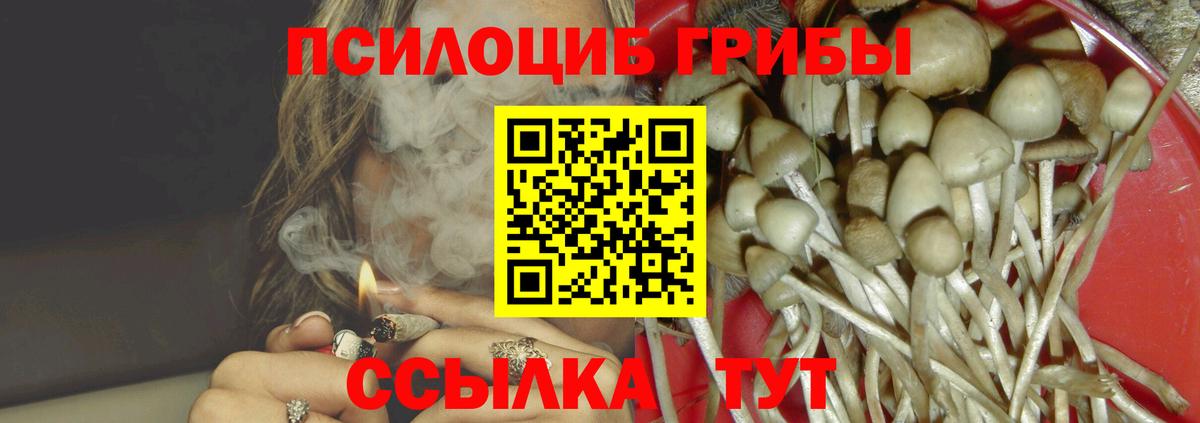 Псилоцибиновые грибы GOLDEN TEACHER  Вход с VPN  Великий Новгород 